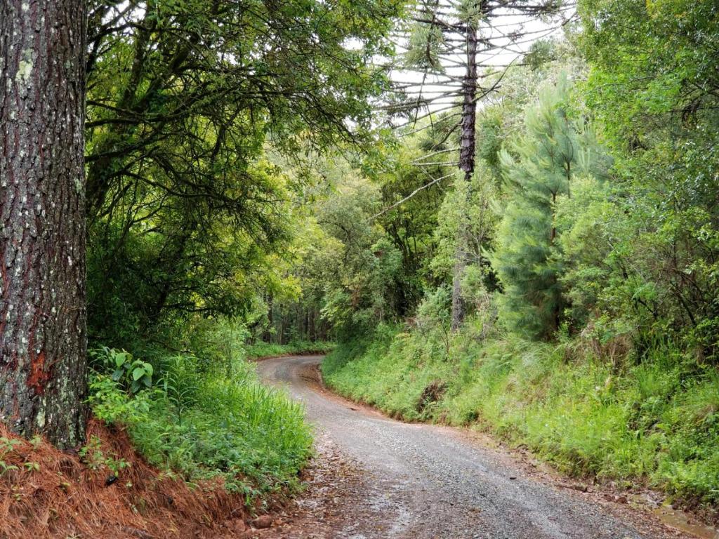 Surrounding environment