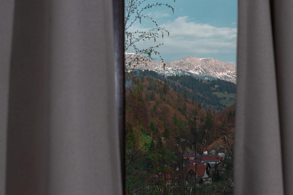 Pension Conacul Vanatorului photo