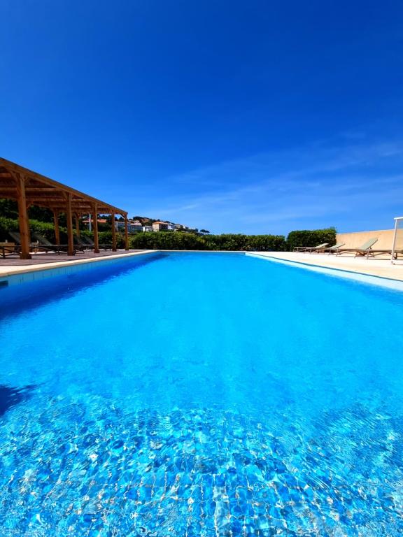 スイミングプール