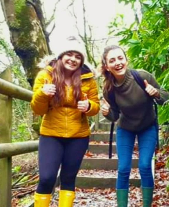 アクティビティ