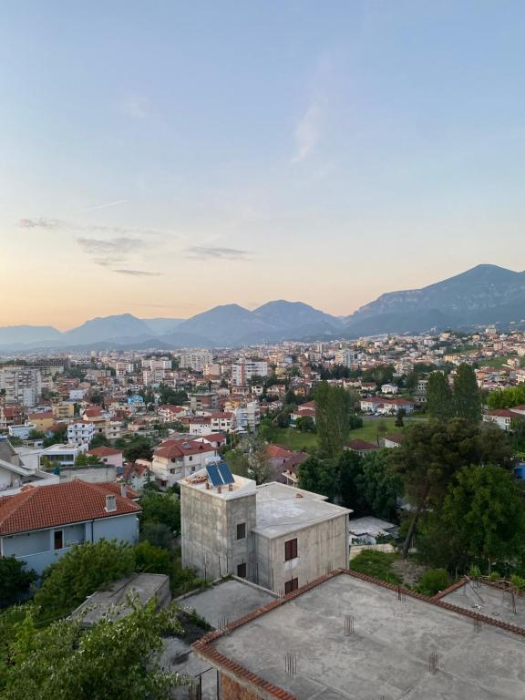 周辺観光スポット