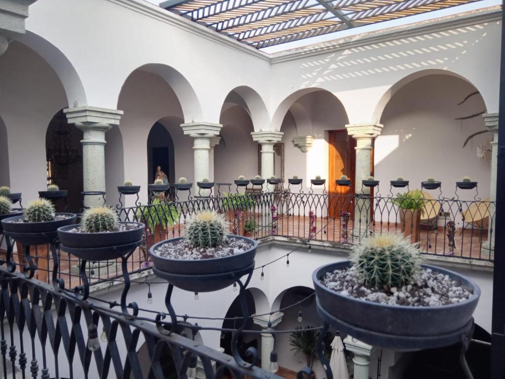 Casa de la Asuncion — Hotel in Oaxaca