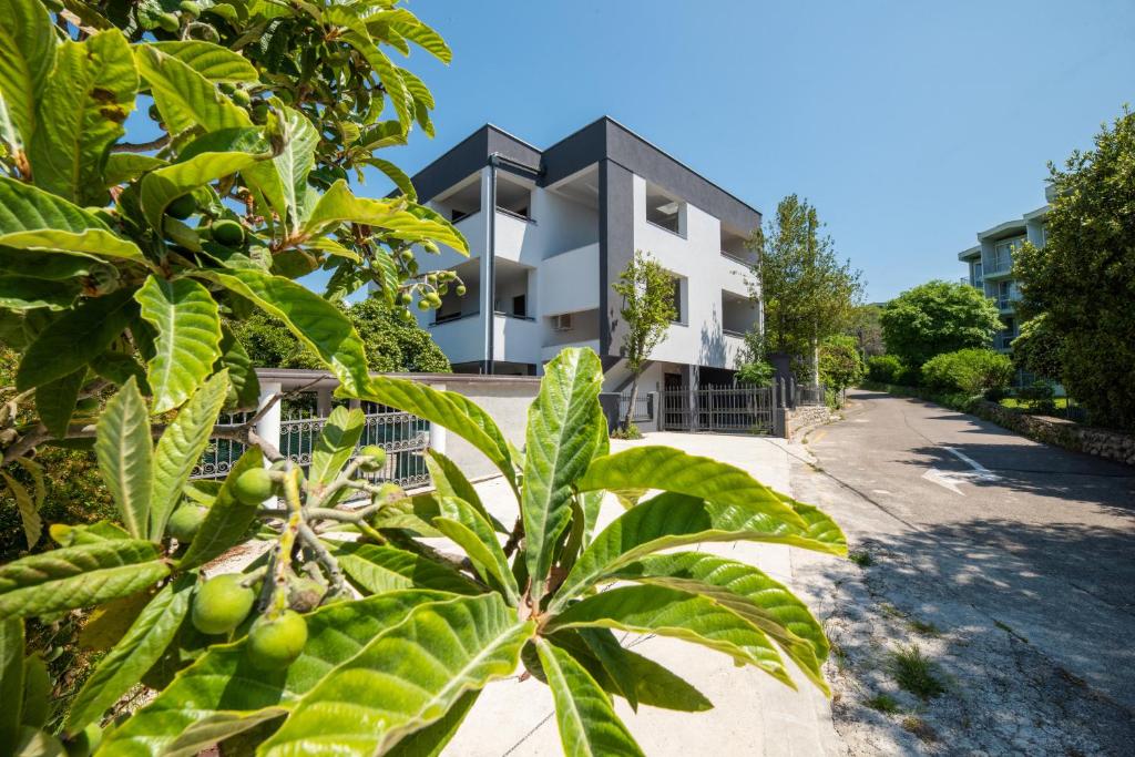 Apartments Barka — Hotel in Selce