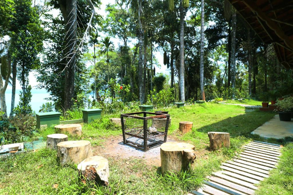 SaffronStays Coorg Toddy Farms, Coorg photo