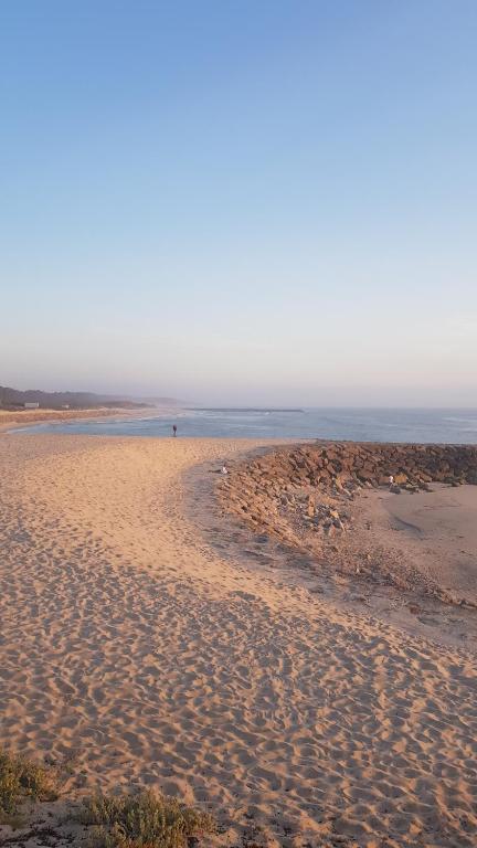 Beachwalk guesthouse photo