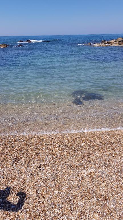 Beachwalk guesthouse photo