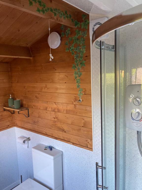 Roslin Glamping photo