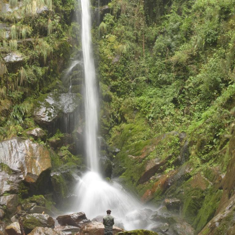 The Great Himalayan Homestay - Sainj Valley photo