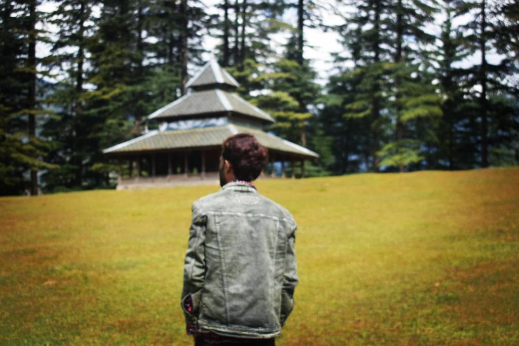 The Great Himalayan Homestay - Sainj Valley photo