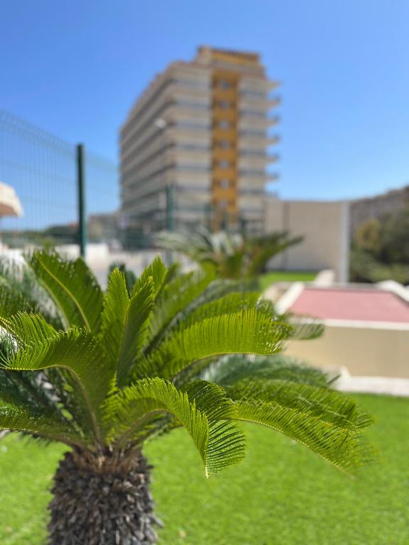 Prince Park — Hotel building in Benidorm, Valencian Community