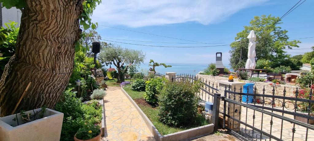 App Maria 3, Zambratija