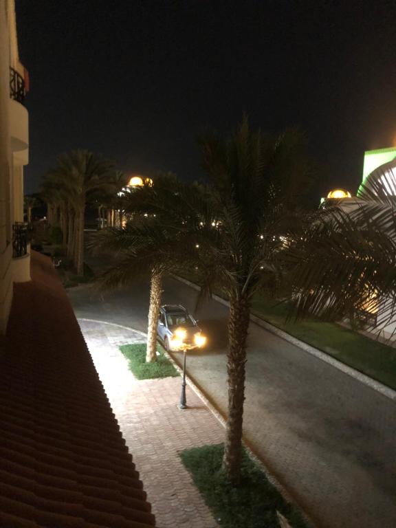سهل حشيش photo