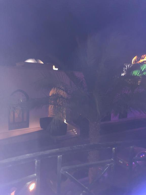 سهل حشيش photo