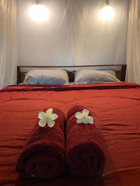 Rimba Bungalow photo