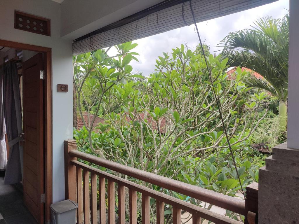 Nyoman Homestay Ubud photo
