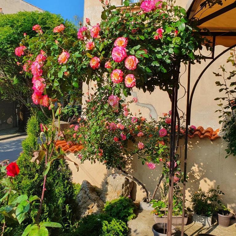 Guest House Gurkov photo