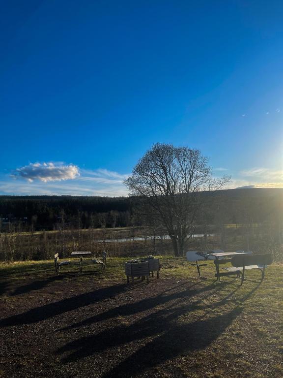 Vasacenter B&B photo