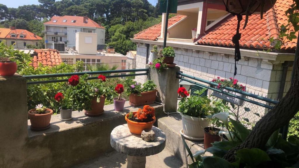 Guesthouse Manda photo