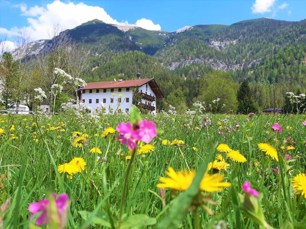Pulvererhof - 1