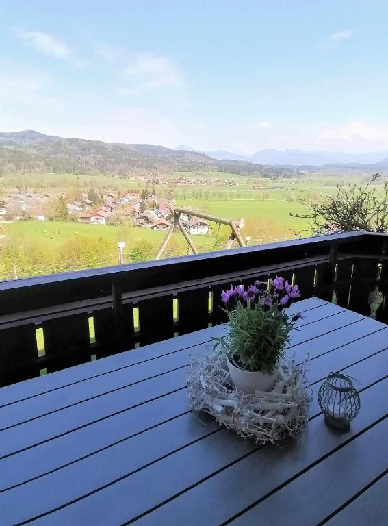 Holbinger Alm - Apartments photo