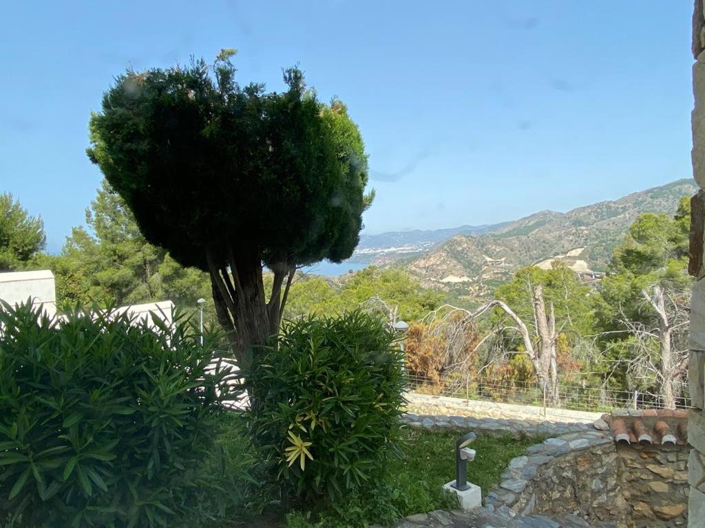 Half of the luxury villa with sea view and pool in natural park - 4