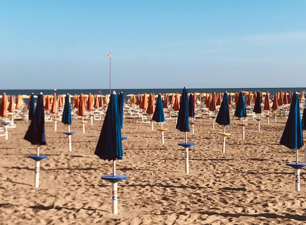 Nuovo fronte spiaggia, terrazza sul mare e piscina - 2