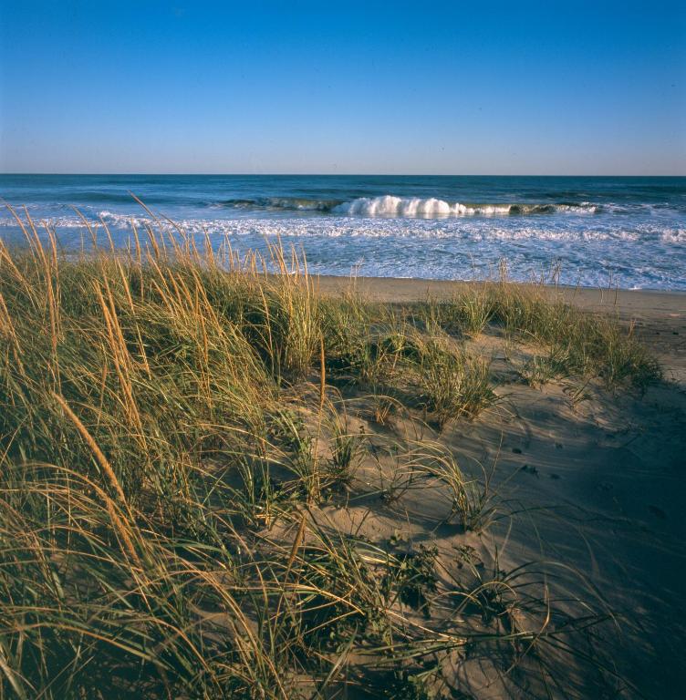 Windward Shores photo
