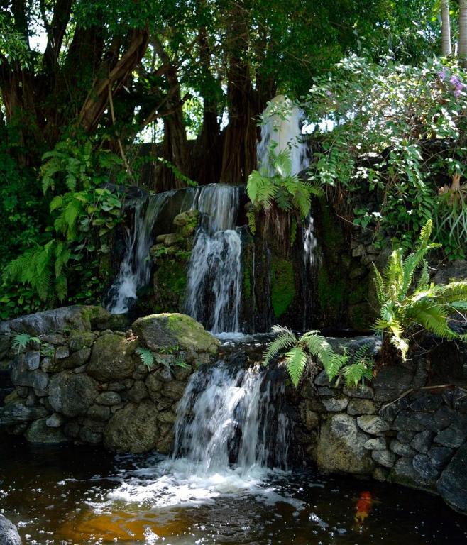 Popular attractions Area Nearby Property