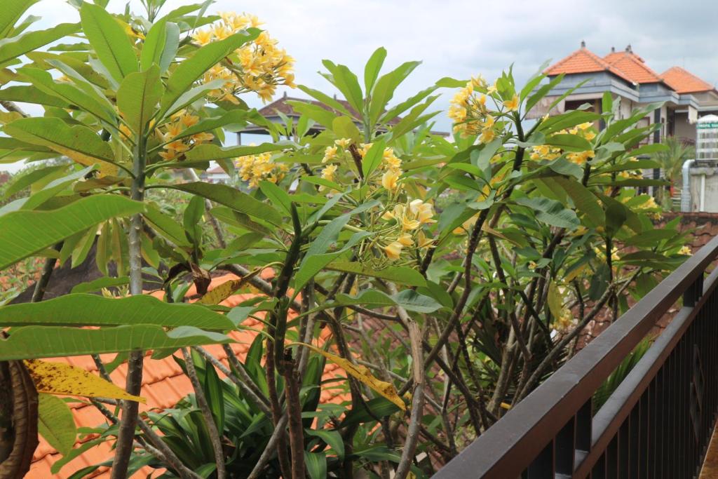 Sudana Homestay photo