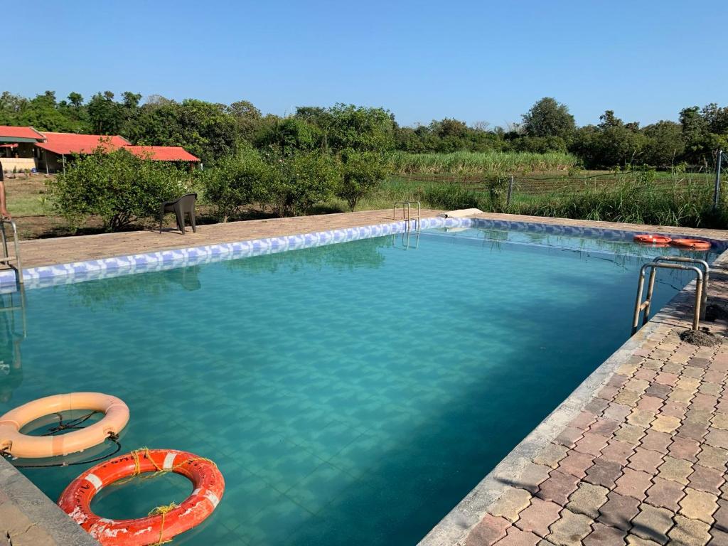 Woodland Resort SasanGir photo