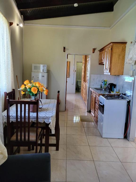 Kitchen, Memories Cottage and Apartments in Buccoo