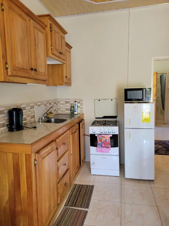 Kitchen, Memories Cottage and Apartments in Buccoo