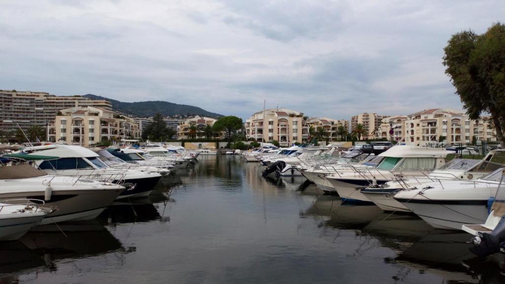 F3 ILE MARINA MANDELIEU LA NAPOULE - 4