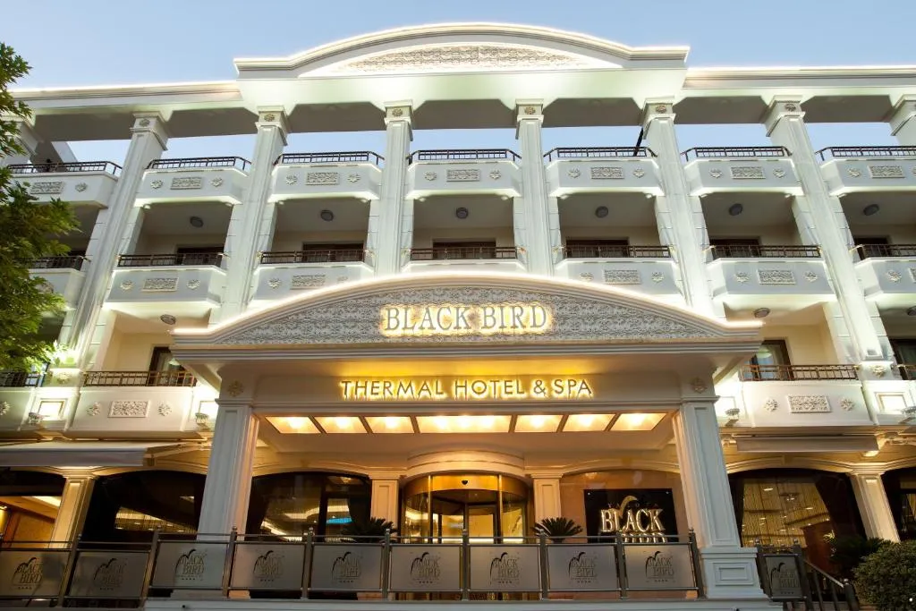 Black Bird Thermal Hotel & SPA, hotel in Gokcedere