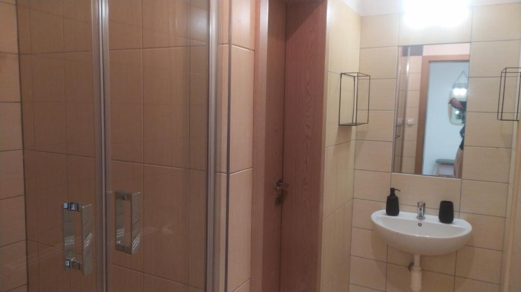 Studia Sprava TANAPu photo