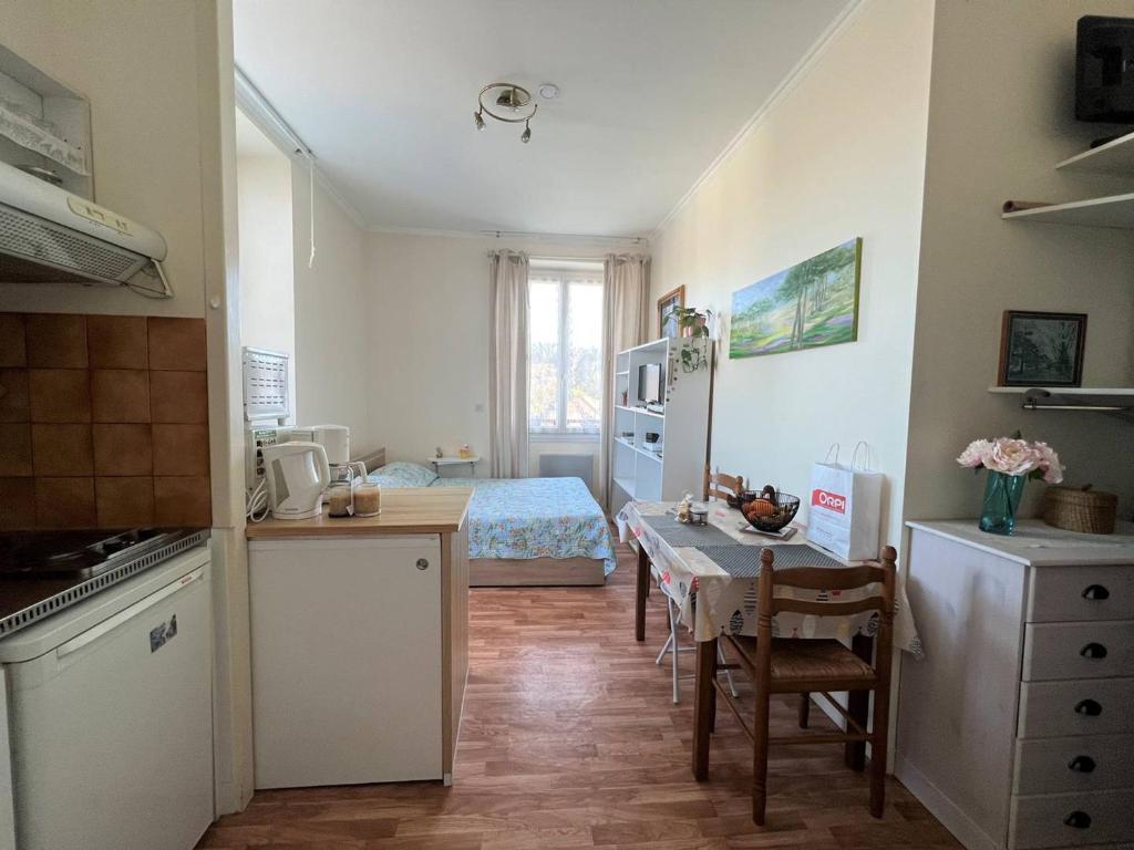 Studio lumineux à Cambo-les-Bains, proche thermes, coin nuit, kitchenette, internet, animaux acceptés - 3