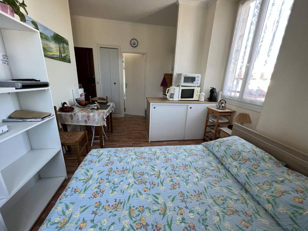 Studio lumineux à Cambo-les-Bains, proche thermes, coin nuit, kitchenette, internet, animaux acceptés - 5