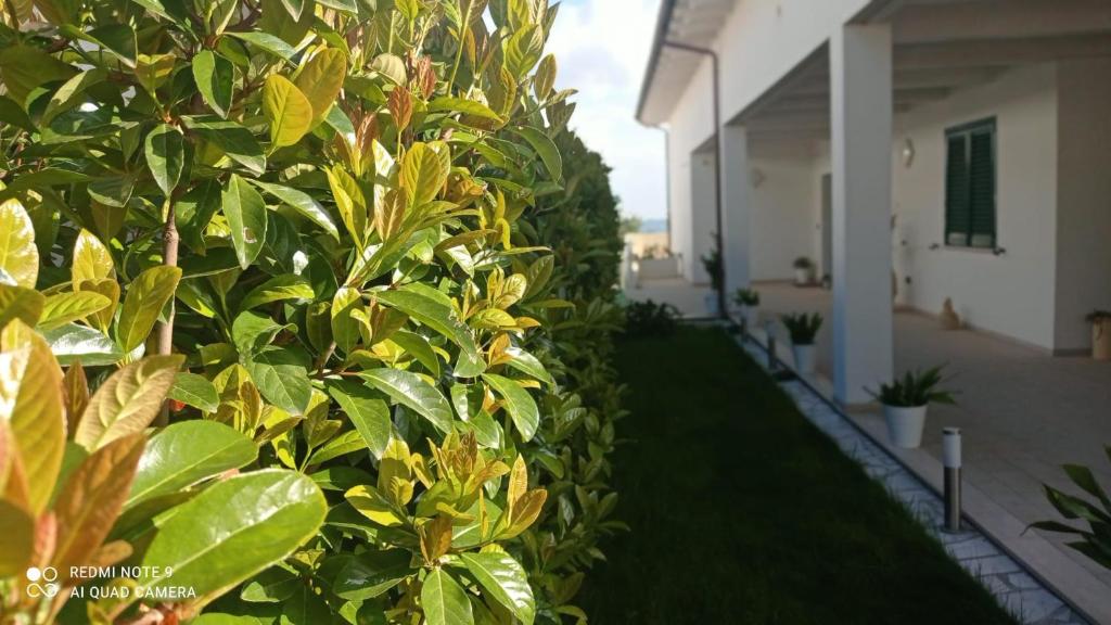 Matera nel verde, Matera