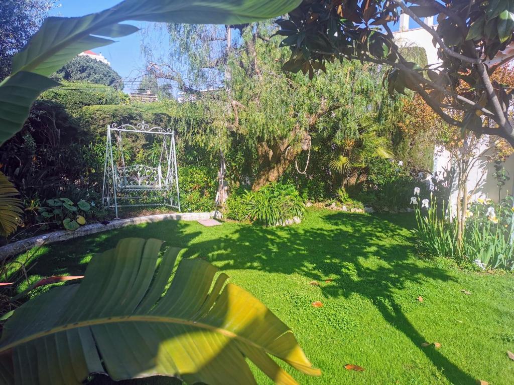 スイミングプール