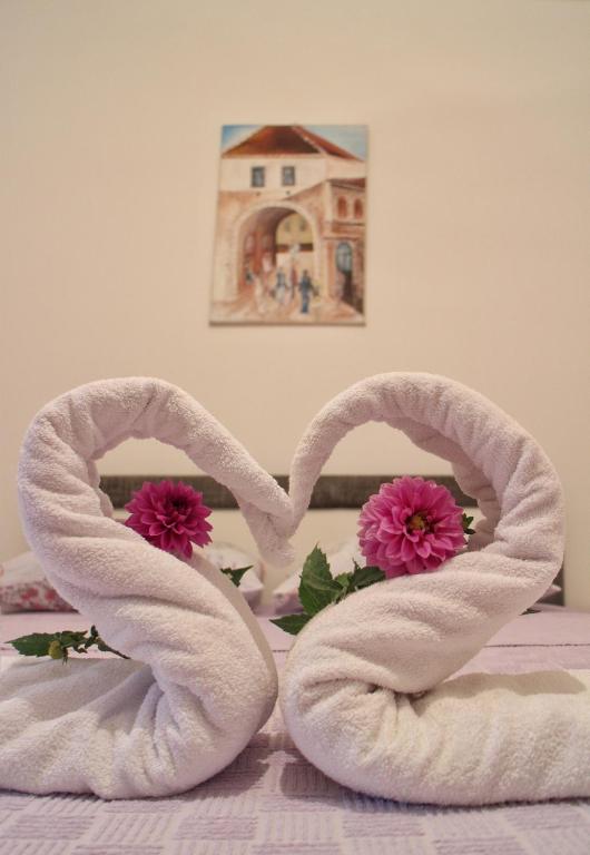 Apartman Anja - 3