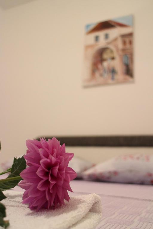 Apartman Anja - 4