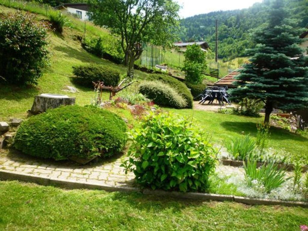 Gîte chaleureux à La Bresse avec terrasse, barbecue et proche des pistes de ski - FR-1-589-189 - 3