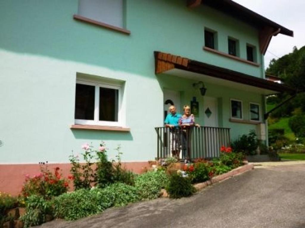 Gîte chaleureux à La Bresse avec terrasse, barbecue et proche des pistes de ski - FR-1-589-189 - 4