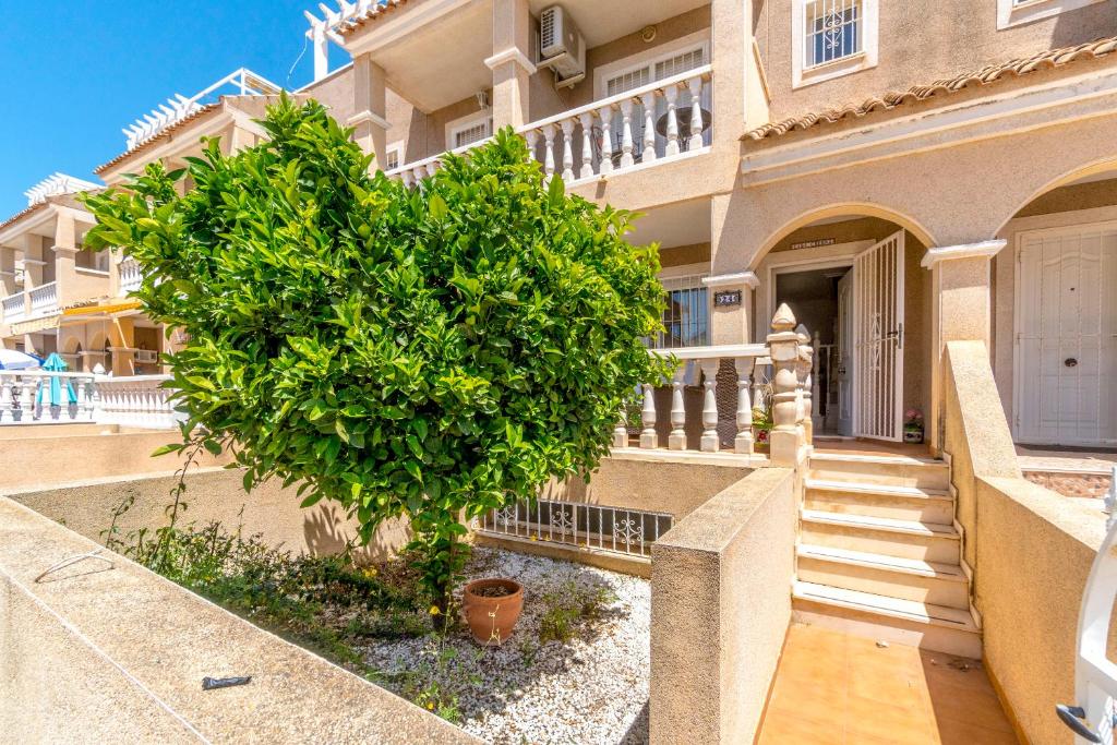 HE Paola 2, Orihuela Costa