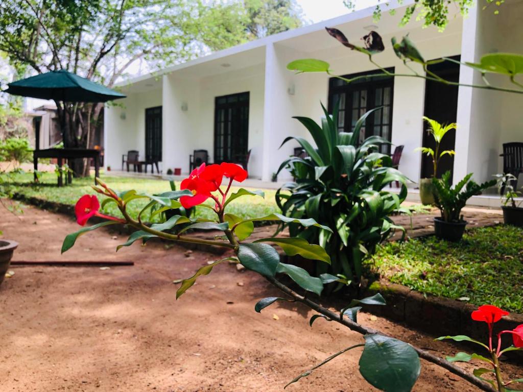 The Hotel Chanara photo