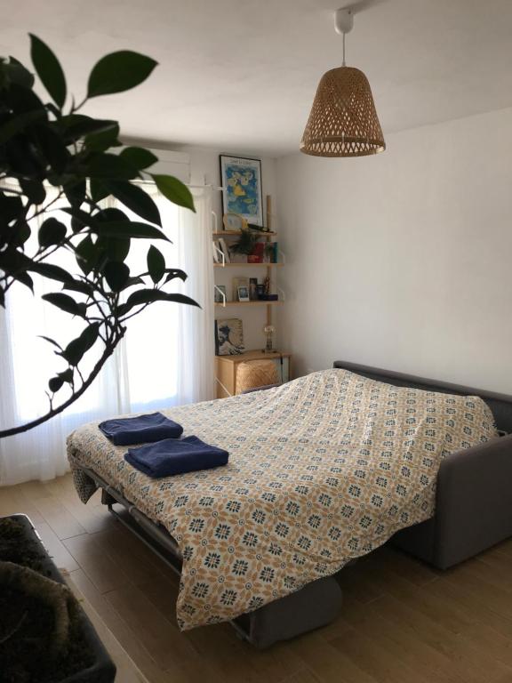 Chambre privative près de l'étang de Thau - 2