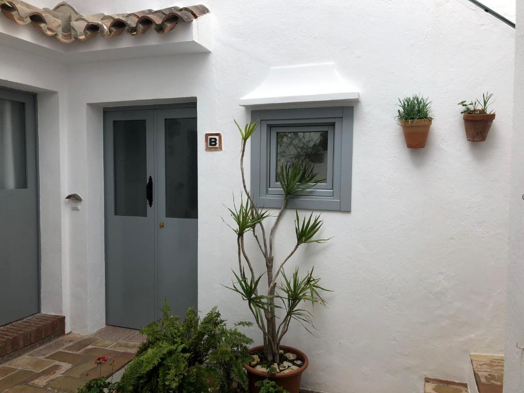 Apartamentos Casa la Costanilla - 5