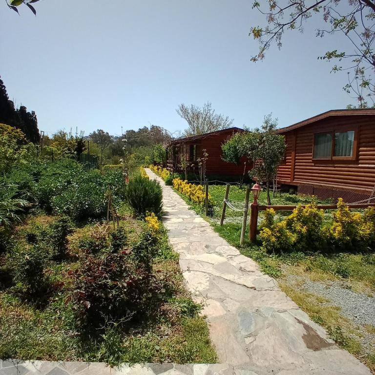 DefneWoodHome, Bodrum