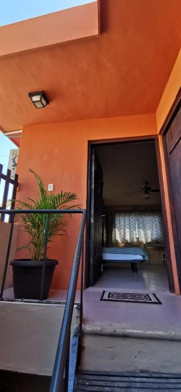 Luhme Tulum Hostel photo