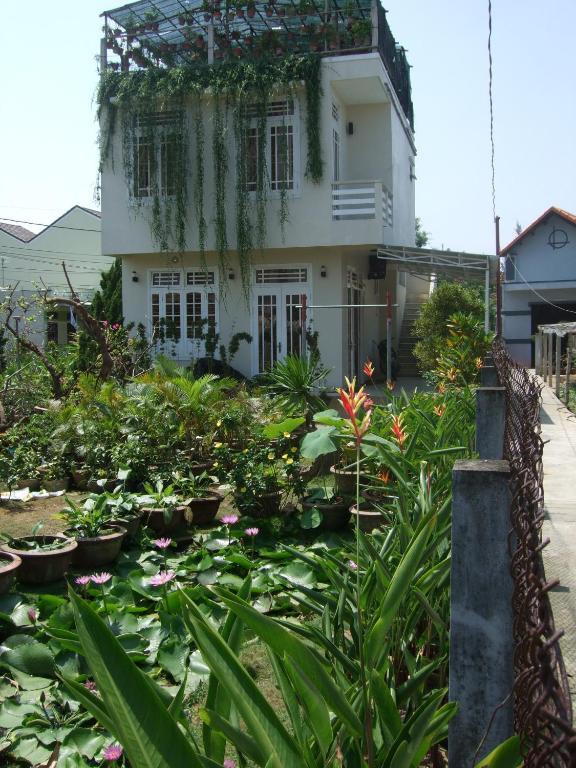 Garden, Skybird Homestay in Hoi An